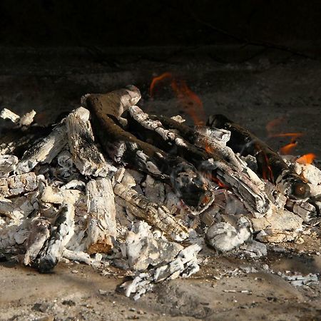Apartments Antunovic روغوزنيكا المظهر الخارجي الصورة