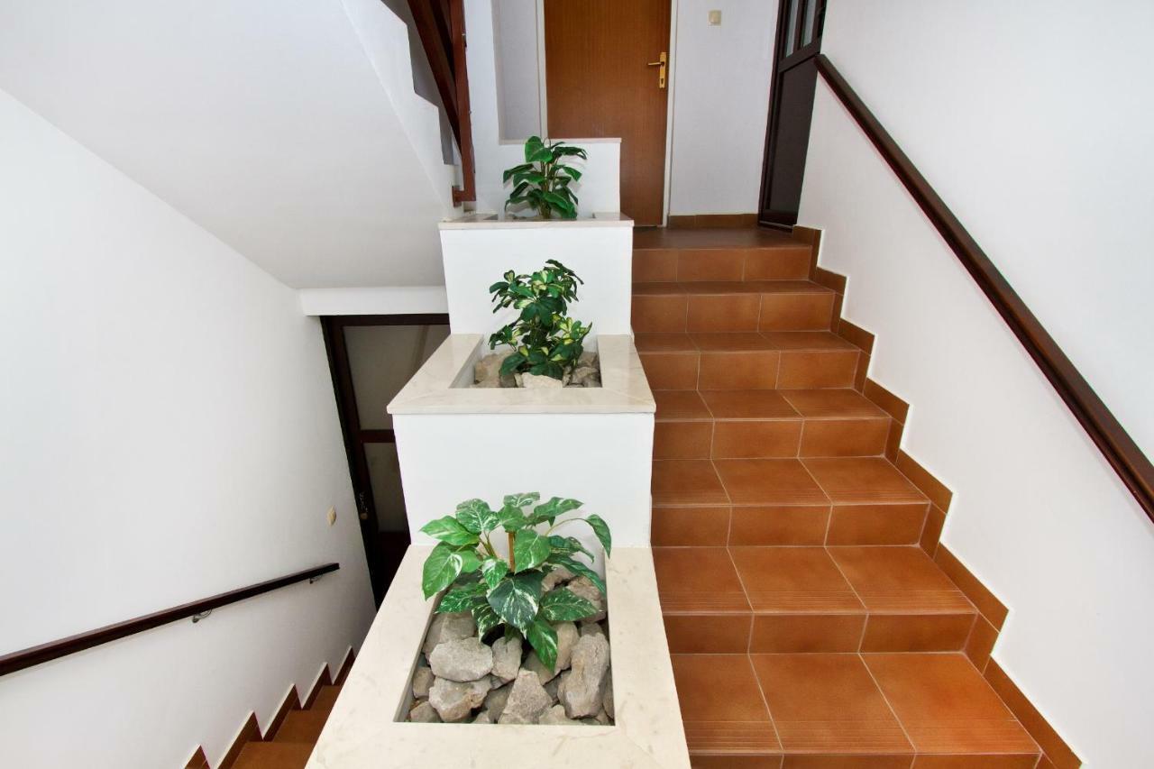 Apartments Antunovic روغوزنيكا المظهر الخارجي الصورة
